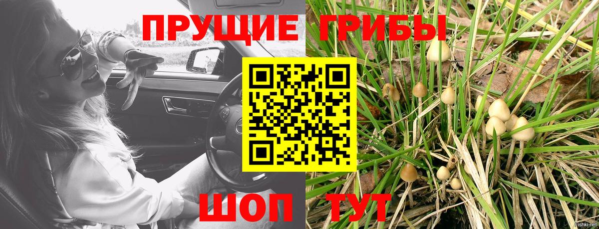Псилоцибиновые грибы мицелий Златоуст